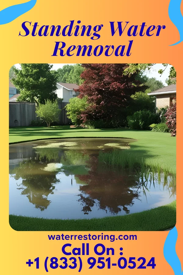 Standing Water Removal in Sawyer, OK